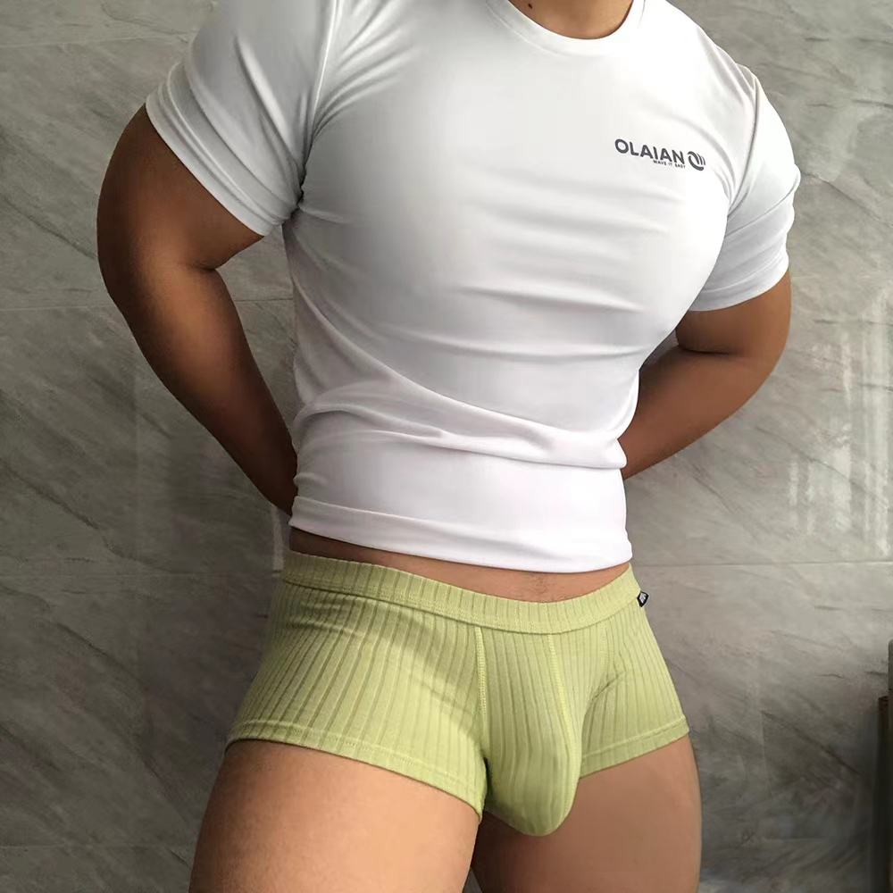 Cuecas boxer curtas de algodão - Boxer Brief Pack Cotton avaliação e preço