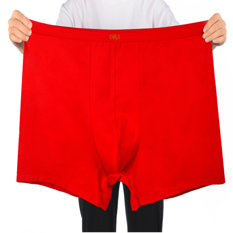 Shorts boxer de algodão puro p - Boxer Brief Pack Cotton avaliação e preço