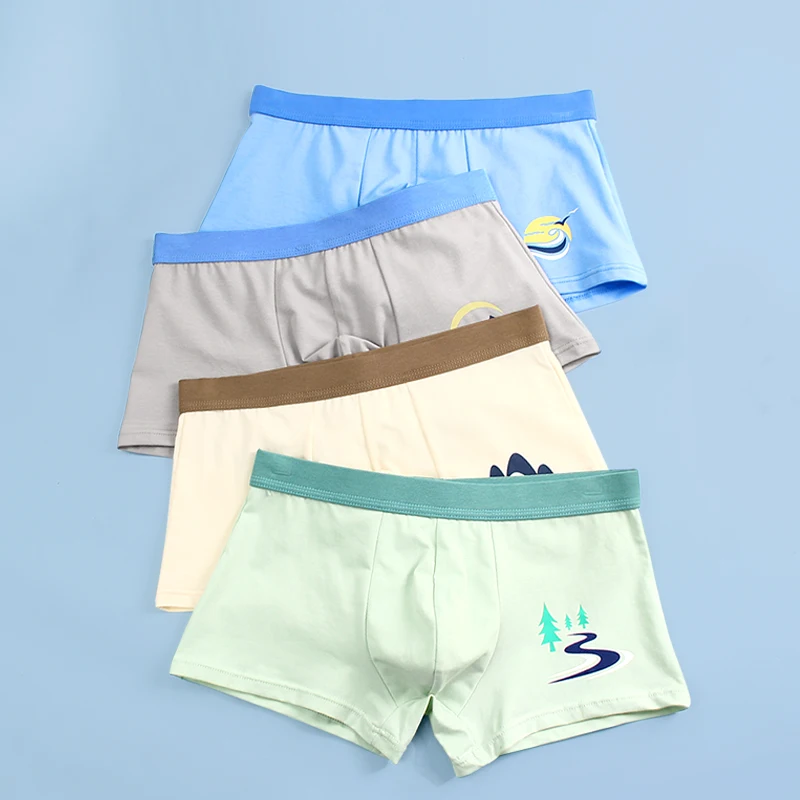 Adolescentes puro algodão anti - Boxer Brief Pack Cotton avaliação e preço